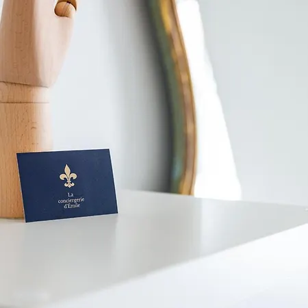 Le Lilas - Hypercentre Confort Calme 4 Voyageurs Apartamento *